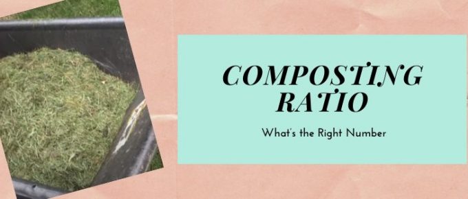 Composting Ratio