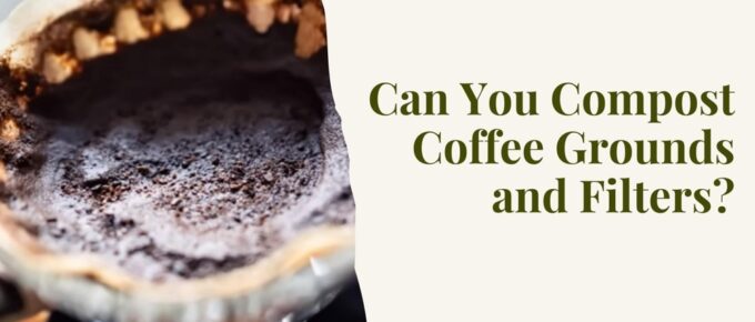 Can You Compost Coffee Grounds and Filters?