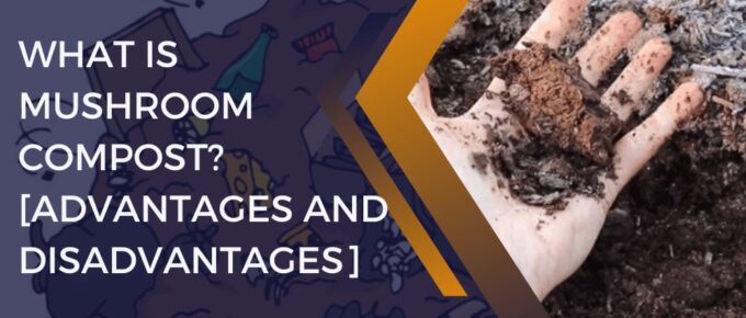 What is Mushroom Compost? [Advantages and Disadvantages]